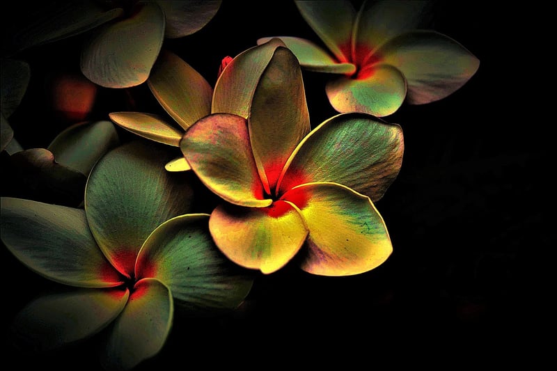 Abstract Artwork